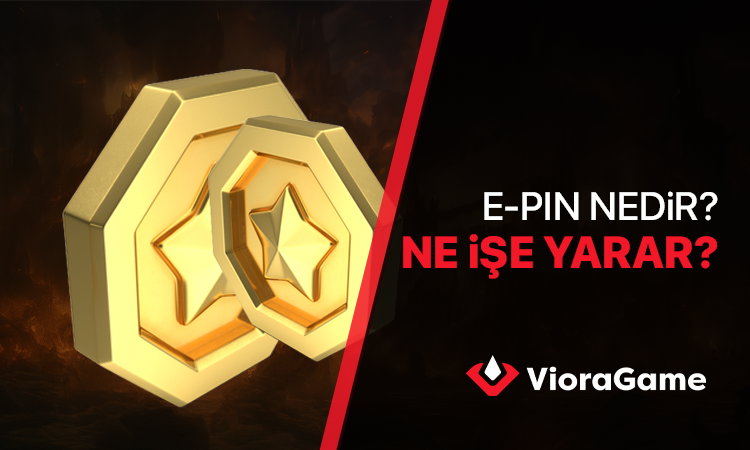 E-Pin Nedir? Ne İşe Yarar? 